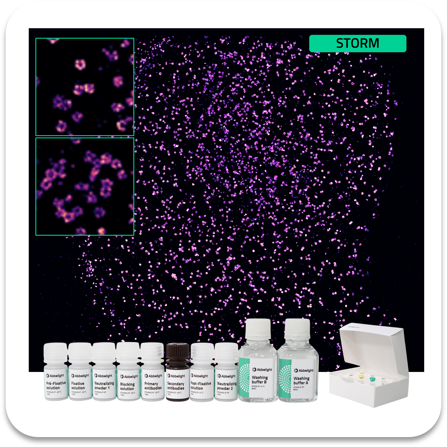 Abbelight smart staining kit clathrin protein with af647