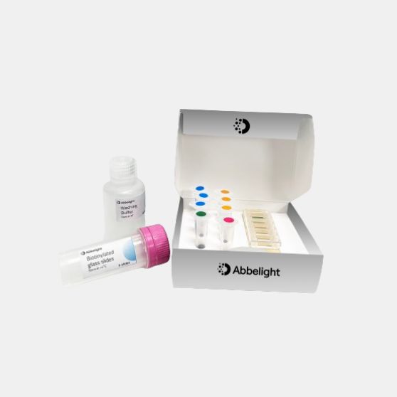 Test EVs Kit – Tetraspanin Capture