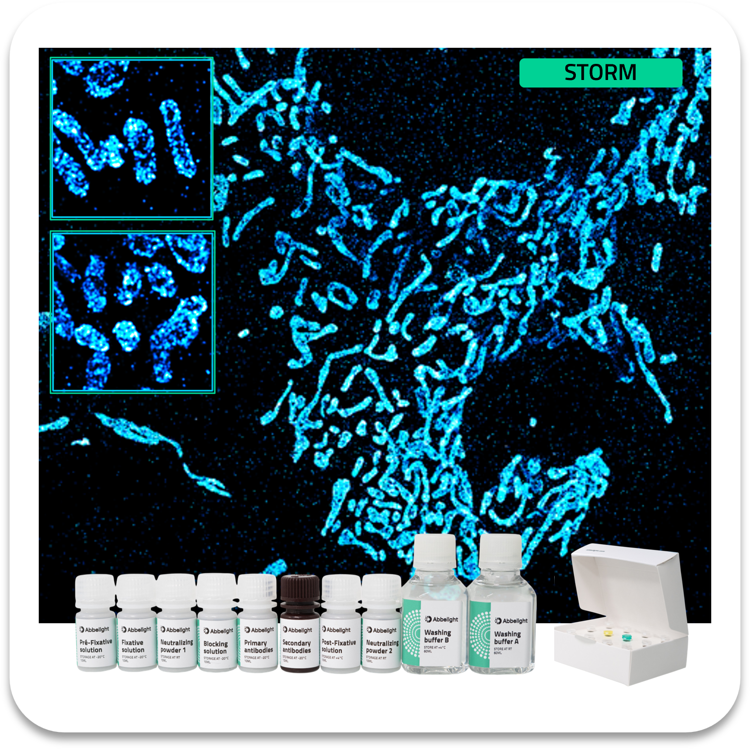 Abbelight smart staining kit tomm20 mitochondria protein with af647
