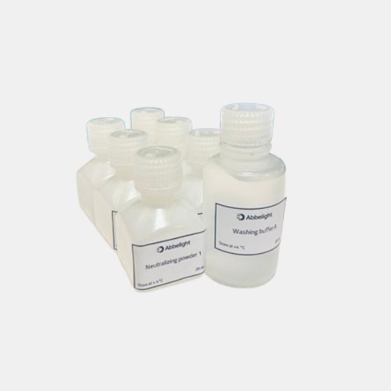 Abbelight Smart Staining Kit Tubulin AF647 – including Smart Kit Buffer