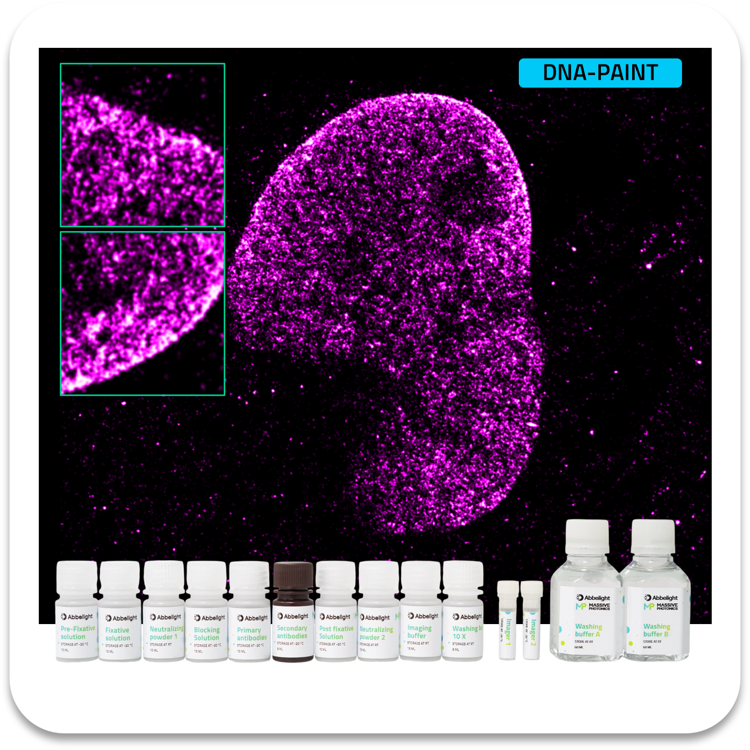 Abbelight massive photonics smart dna-paint kit lamin atto655
