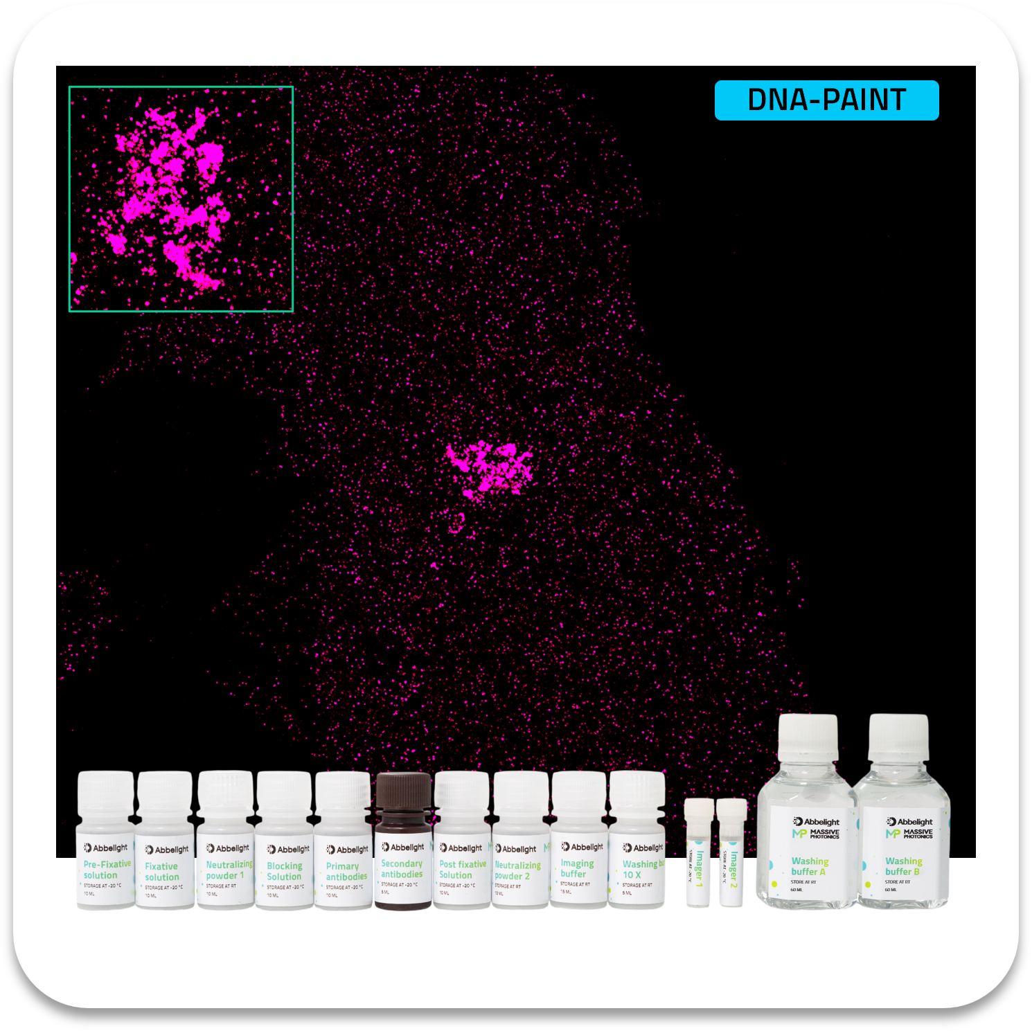 Abbelight massive photonics smart dna-paint kit tgn46 atto655