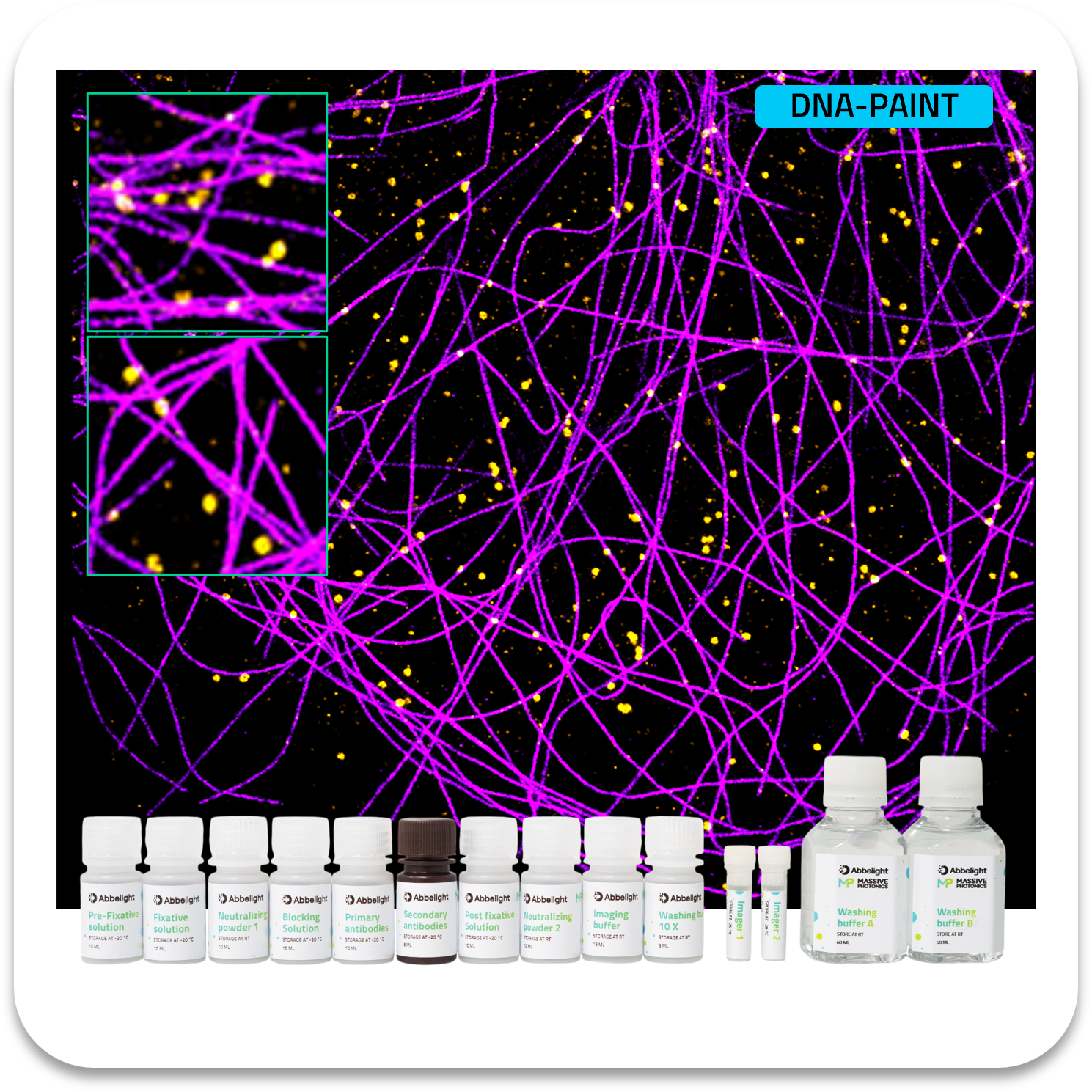 Abbelight massive photonics smart dna-paint kit tubulin atto655 / clathrin atto680