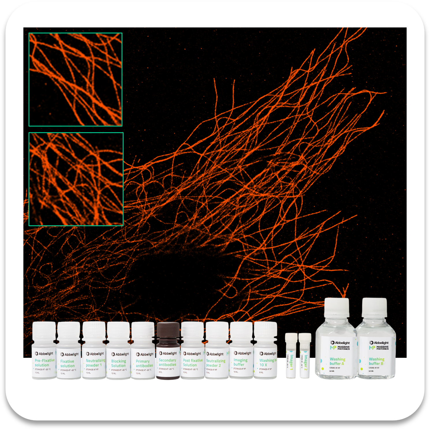 Tubulin with Cy3b DNA-PAINT imaging