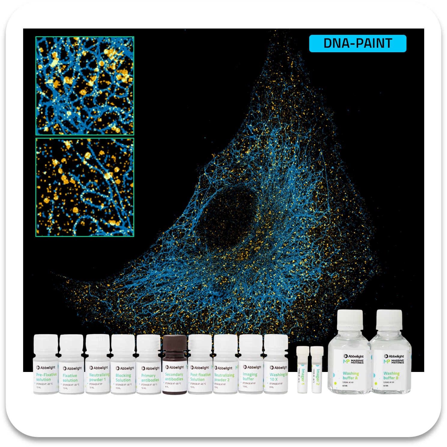 Abbelight massive photonics smart dna-paint kit vimentin atto655 / clathrin atto680