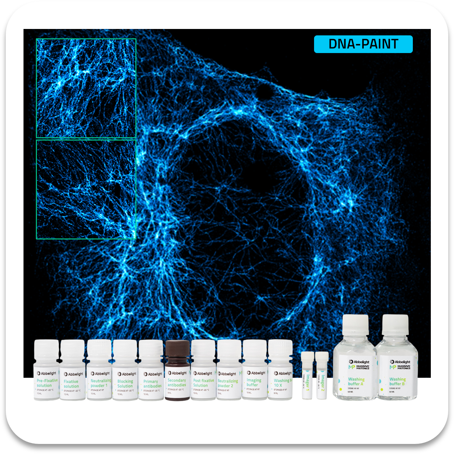 Abbelight massive photonics smart dna-paint kit vimentin cy3b