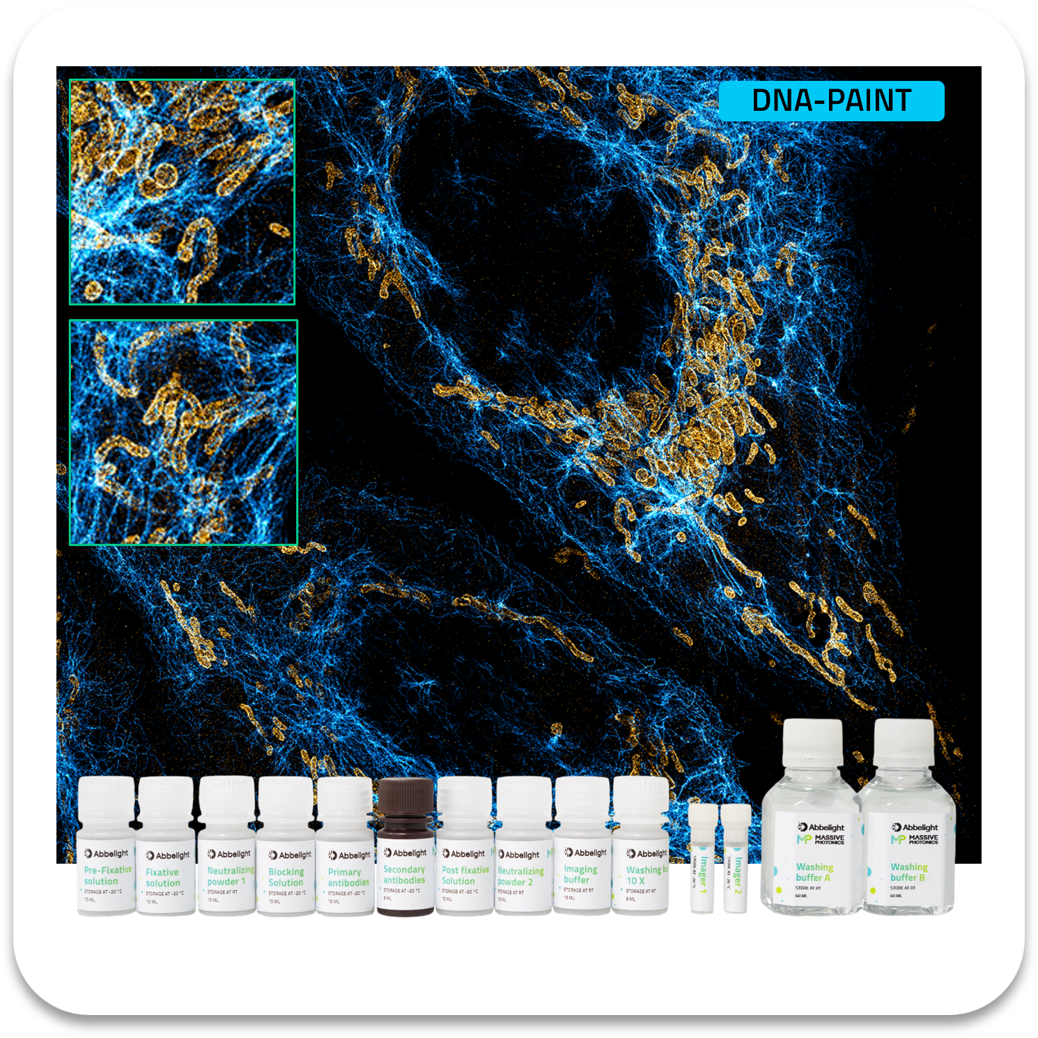 Abbelight massive photonics smart dna-paint kit vimentin atto655 / tomm20 atto680
